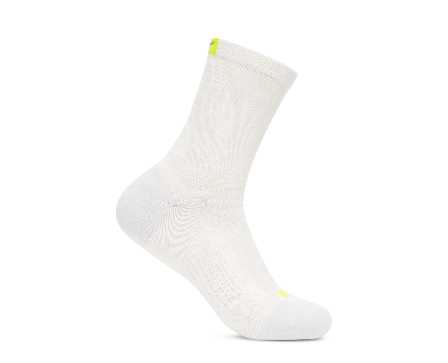 1164350-WHT