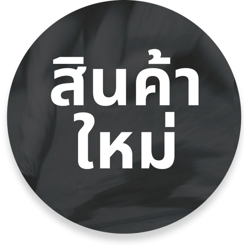 สินค้าใหม่