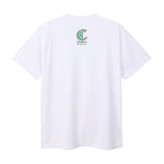 C3-YB315-010